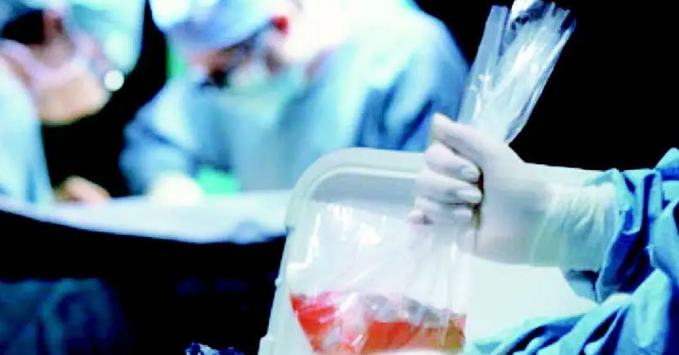 Nefrólogos debatirán transplantes en pandemia