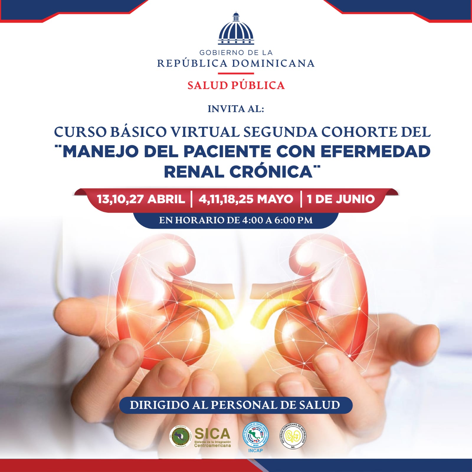 Curso Básico Virtual Manejo del paciente con enfermedad renal crónica